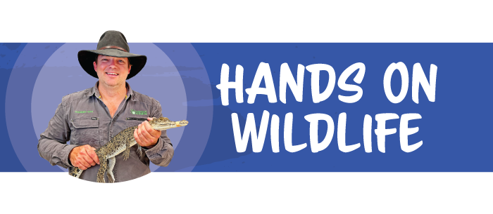 Hands On Wildlife